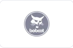 Bobcat